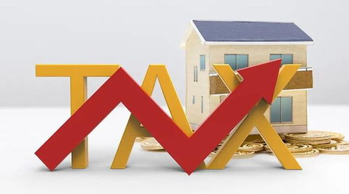 國家稅務總局推出10項稅收服務措施，助力長三角一體化高質量發展